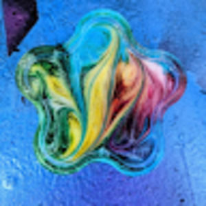 Meet your Posher, Dionna